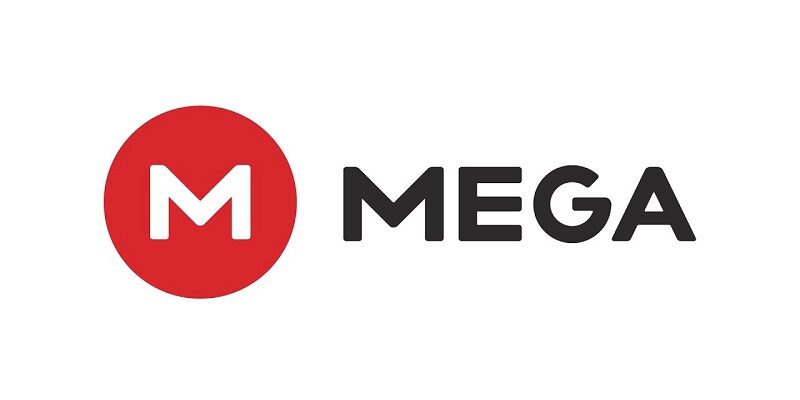 『MEGA』流量真正破解教學，眾多下載工具分享