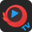 今日影視TV