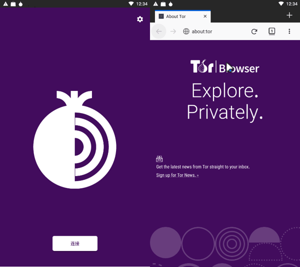 tor browser для андроид скачать с официального сайта бесплатно gidra